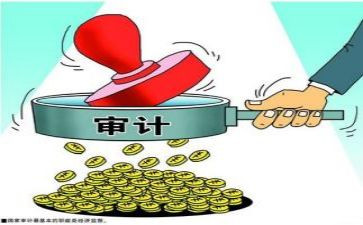 审计课心得体会1000字8篇
