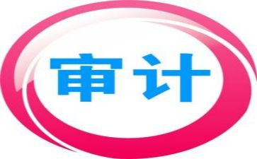 被审计心得体会2000字8篇