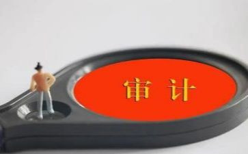财务审计的工作计划6篇