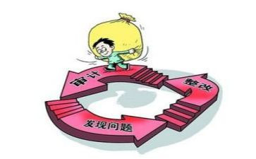 被审计工作总结优秀5篇