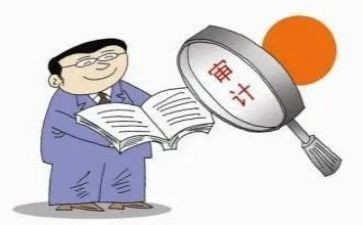 审计局审计工作总结最新5篇