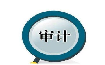 审计报告调查报告8篇