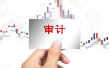 被审计人述职报告8篇