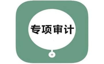 审计员年度述职报告5篇