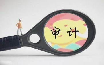 审计自我鉴定6篇