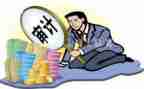 财务审计周工作计划8篇