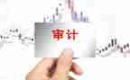 被审计人述职报告8篇