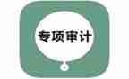 审计员年度述职报告5篇
