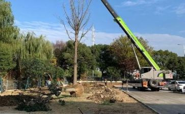 施工质量和安全工作总结5篇