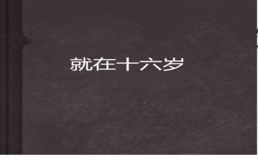 十六的我作文7篇