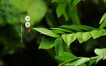 十四运思想汇报8篇