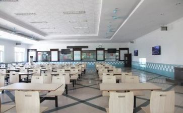食堂采工作总结推荐8篇