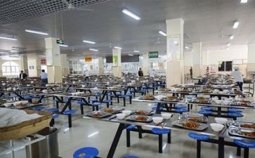 食堂的辞职报告7篇