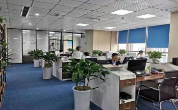 事务所工作总结模板6篇