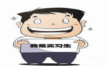 个人实习总结优秀8篇