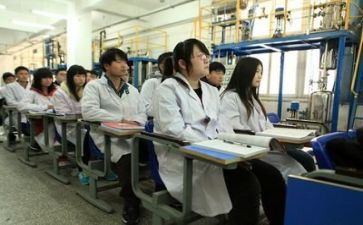 实训总结及心得体会6篇