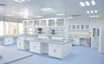 大学做实验的心得体会8篇