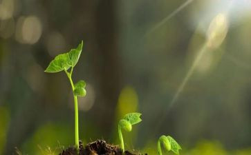 守护解放西观后感8篇