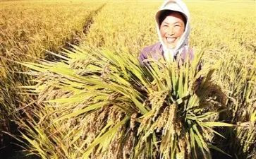 成长和收获演讲稿8篇