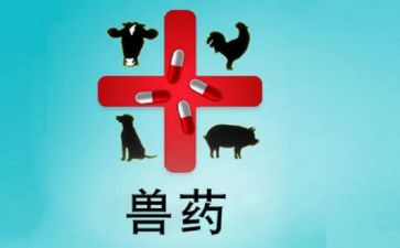 兽药厂年终总结优质6篇