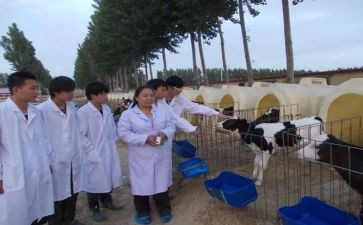 兽医师个人述职报告精选7篇