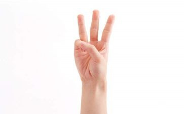 手指舞的教案优质6篇