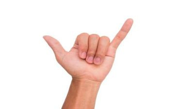 音乐活动手指歌教案5篇