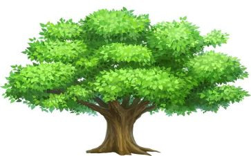 植树劳动心得体会8篇