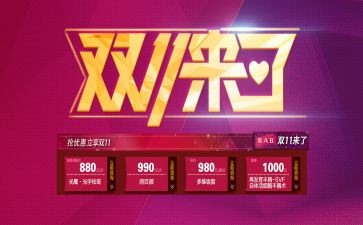 双11总结报告通用8篇