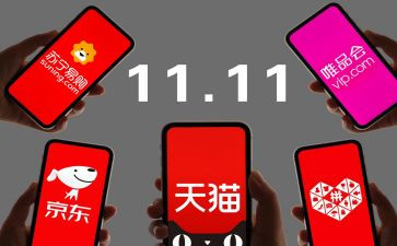小学生双11作文优秀5篇