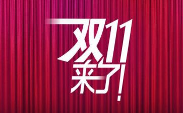 双11后勤的工作总结7篇
