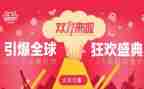 双11总结报告优秀5篇