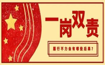 一岗双责总结报告6篇