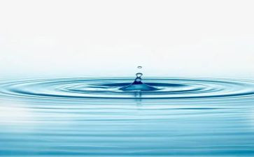 水果铺中班美术教案5篇