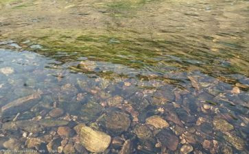 《水》诗歌教案模板5篇