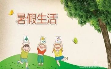 暑假工800字心得体会7篇