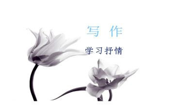 抒情类叙事作文6篇