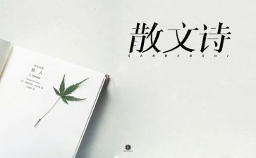 抒情作文400字推荐8篇