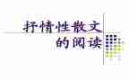 抒情的作文800字最新6篇