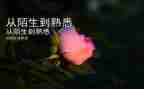 你熟悉的人作文400字7篇