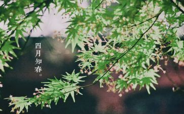 幼儿大班四月工作总结8篇