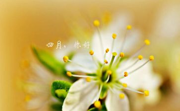 四月活动策划5篇