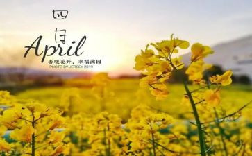 四月安全总结6篇