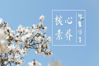 谈幼儿教师的素养心得体会8篇