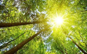 太阳小班教案反思5篇