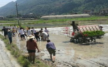 特岗教师述职报告优秀8篇
