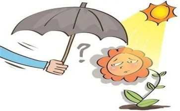 我同情他作文7篇