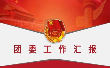 村团委工作总结报告5篇