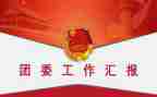 团委团委工作总结参考6篇