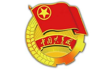团支部年度述职报告7篇